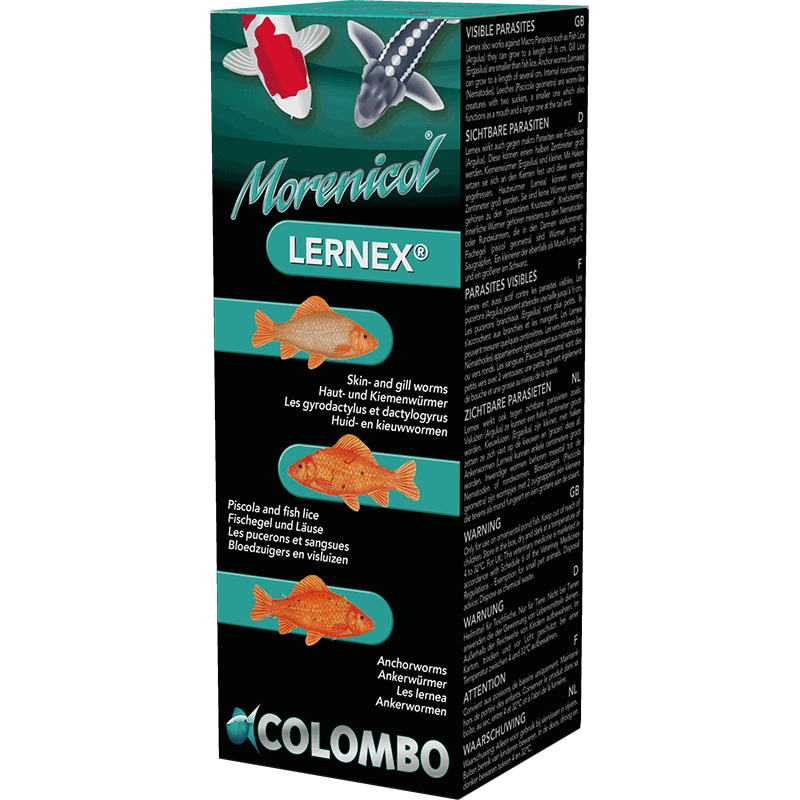 Colombo Lernex 800g