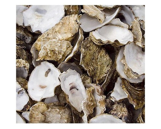 Oyster Shell in Net Bag 5kg